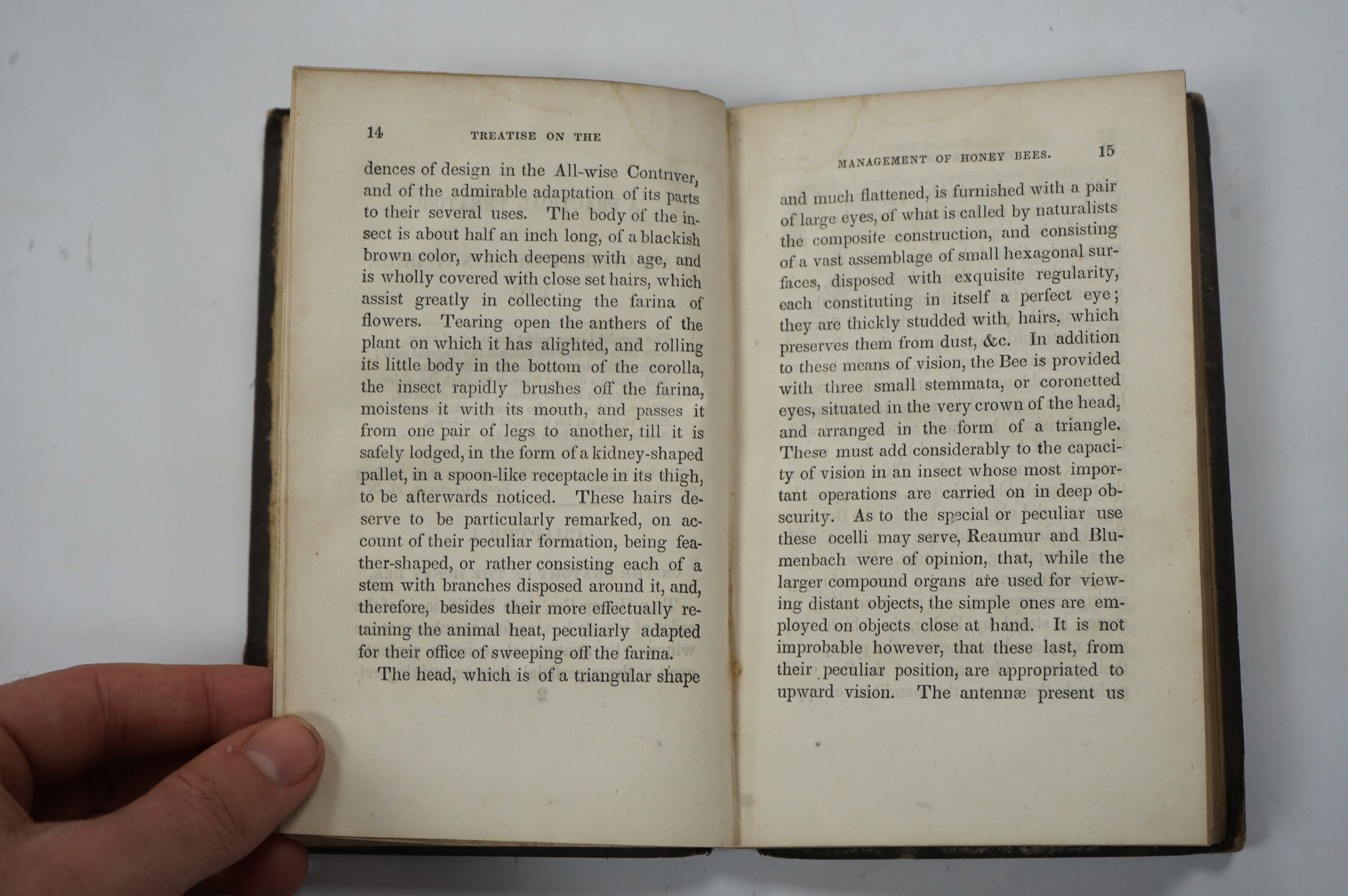 Townley, Edward - A Practical Treatise on Humanity to Honey Bees, or Practical Directions for the Management of Honey Bees, 12mo, brown blind-stamped cloth with gilt embossed lettering, G.B. Maigne, New York, 1848.